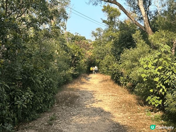 大美督十二生肖山，可以看到大美督堤壩的風景。