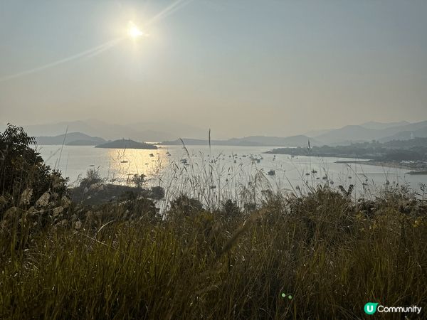 大美督十二生肖山，可以看到大美督堤壩的風景。