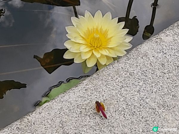 1.烏溪沙外風景；2.大嶼山主題多啦A夢打卡點；3.大嶼山蓮...