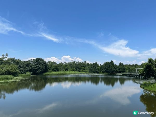 香港濕地公園