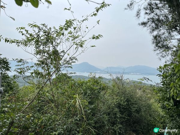 坪洲，呢個係一個好細而好有溫情嘅地方. 充滿着好多人情味. ...