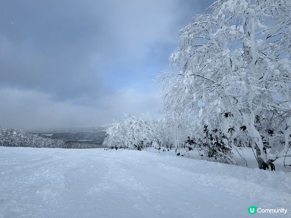 北海道的星野度假村和留壽都度滑雪度假村，滑雪體驗真係無可比擬...