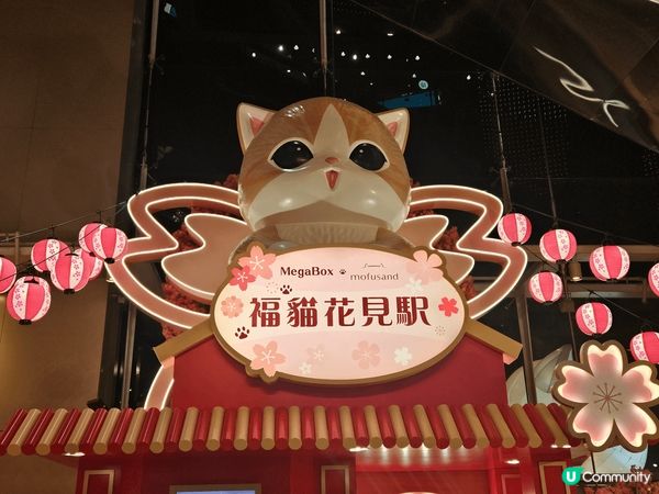 愛貓貓的你，不要錯過这打卡地方，好多不同種類貓咪造型，小橋流...