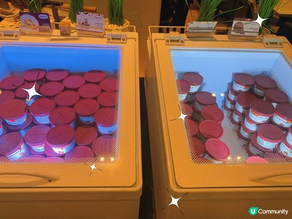 尖沙嘴｜值得一試自助餐🍽️