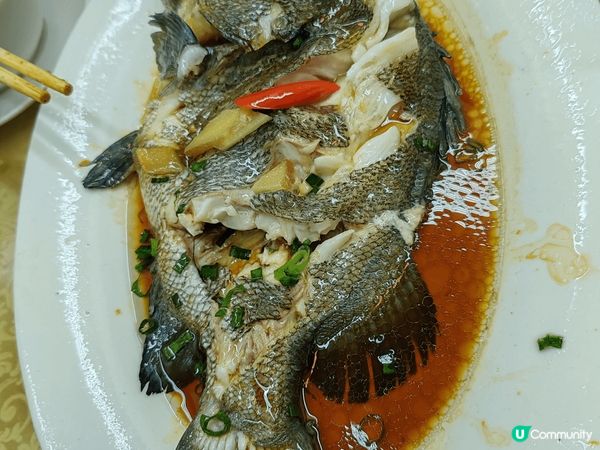 姜母鴨，蒸帶子，蒸海魚在夏門八市，樣樣都新鮮味美