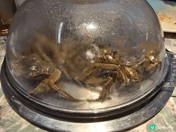 極推介，深圳海鮮放題。大閘蟹任食，海鮮任食，各類生熟食品自己...