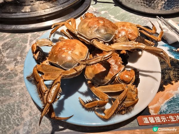 極推介，深圳海鮮放題。大閘蟹任食，海鮮任食，各類生熟食品自己...
