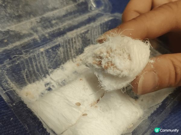 急凍過更爽脆嘅糖，你試過未先？