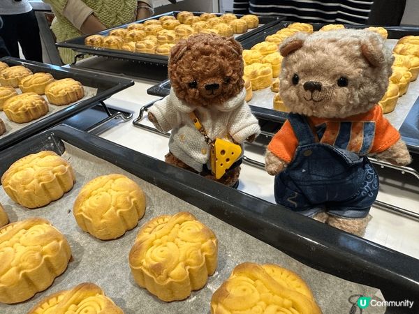 無論係中式定西式美食，🧸🧸都啱㗎，話要一齊食！