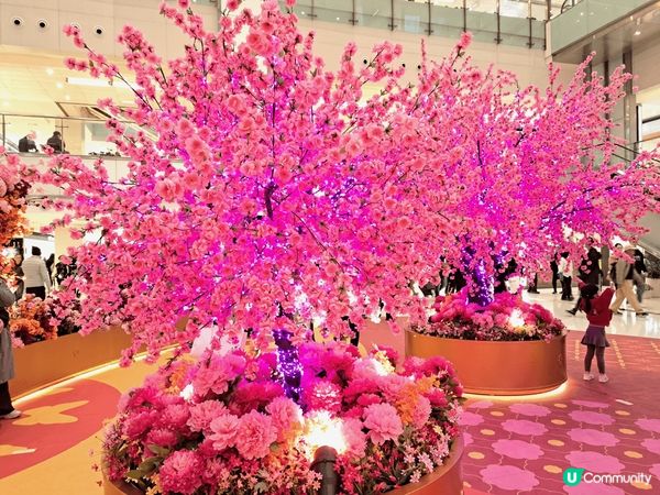 沙田新城市廣場今年好有特色，裝飾好靚，有桃花，有揮春，好有氣...