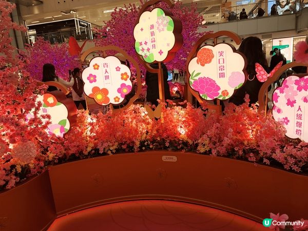 沙田新城市廣場今年好有特色，裝飾好靚，有桃花，有揮春，好有氣...