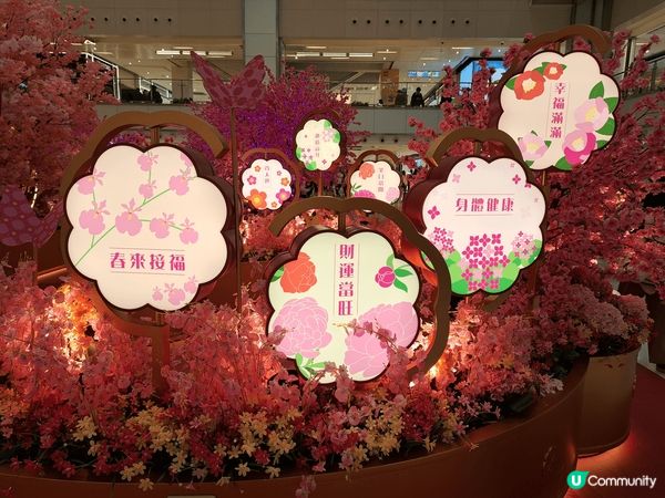 沙田新城市廣場今年好有特色，裝飾好靚，有桃花，有揮春，好有氣...