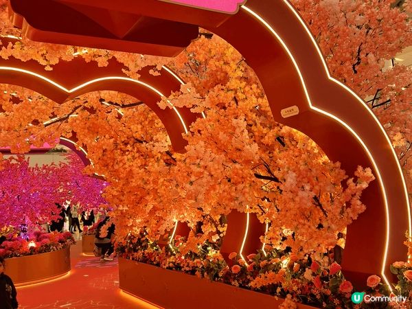 沙田新城市廣場今年好有特色，裝飾好靚，有桃花，有揮春，好有氣...