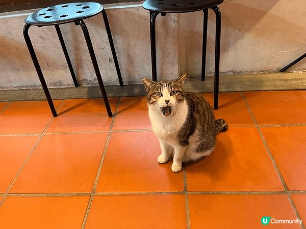 位於台北金瓜石黃金博物館嘅礦工食堂，外觀以木頭打造，散發住濃...