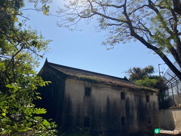 ## 沙頭角尋寶初體驗之旅🎨  
## 梯形房屋 、碼頭