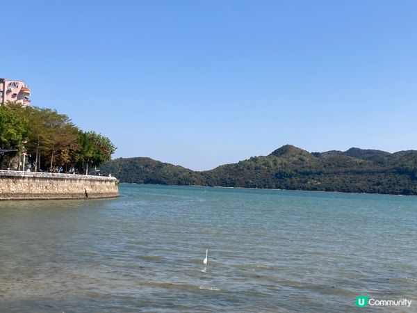 沙頭角海邊，漁船停泊，重溫香港仔碼頭情懷 🛥️