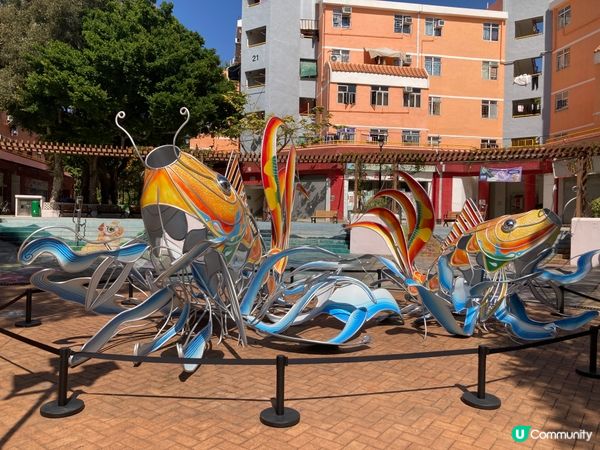 沙頭角海邊，漁船停泊，重溫香港仔碼頭情懷 🛥️