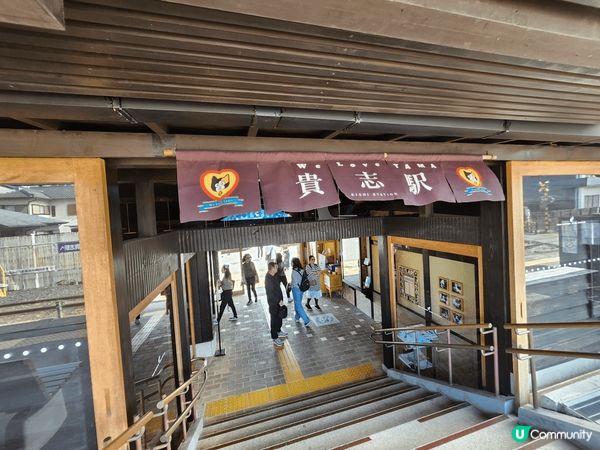 位於和歌山貴誌駅有一位特別站長，它是日本第一個貓站長「小玉站...