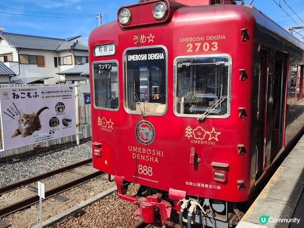 位於和歌山貴誌駅有一位特別站長，它是日本第一個貓站長「小玉站...