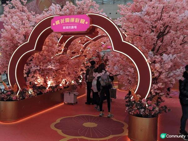 沙田新城市廣場有個桃花園，勁多桃花樹，新年快D黎行返個桃花運...