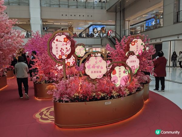 沙田新城市廣場有個桃花園，勁多桃花樹，新年快D黎行返個桃花運...
