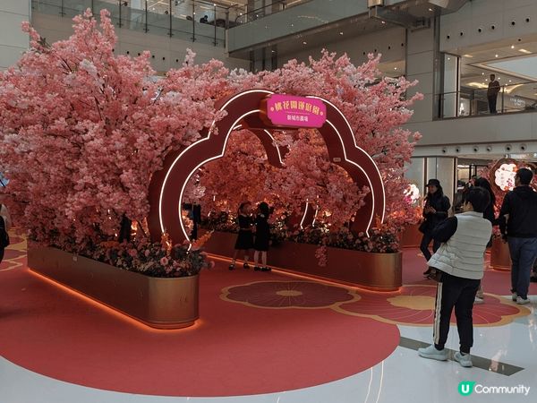 沙田新城市廣場有個桃花園，勁多桃花樹，新年快D黎行返個桃花運...