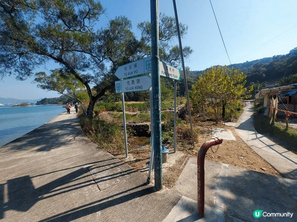 鳳坑村，一大片蘆葦田的美景，附近有幾幢古舊的村屋，村中的寧靜...