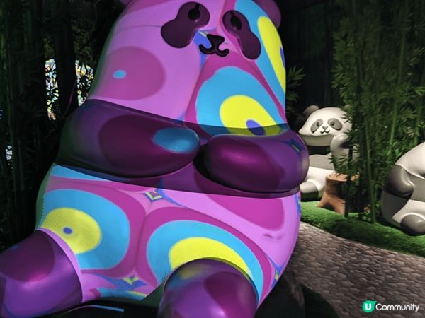 海洋公園最近有個展覽館，以熊貓為主題，裡面的光影效果好靚，打...