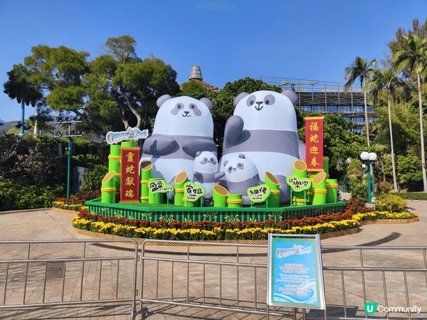 海洋公園最近有個展覽館，以熊貓為主題，裡面的光影效果好靚，打...