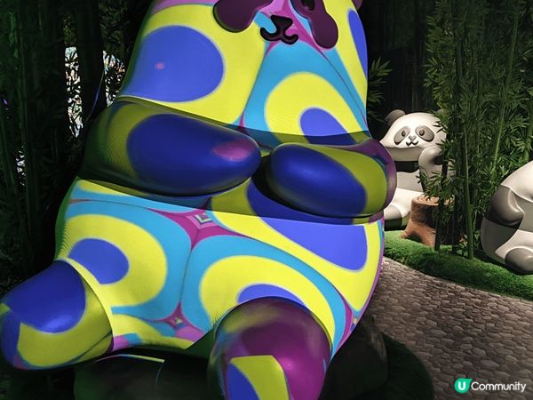 海洋公園最近有個展覽館，以熊貓為主題，裡面的光影效果好靚，打...