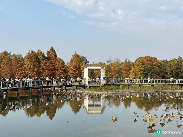 前陣子第一次去濕地公園，親親大自然。公園環境清幽，是親子的好...