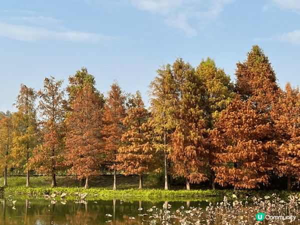 前陣子第一次去濕地公園，親親大自然。公園環境清幽，是親子的好...