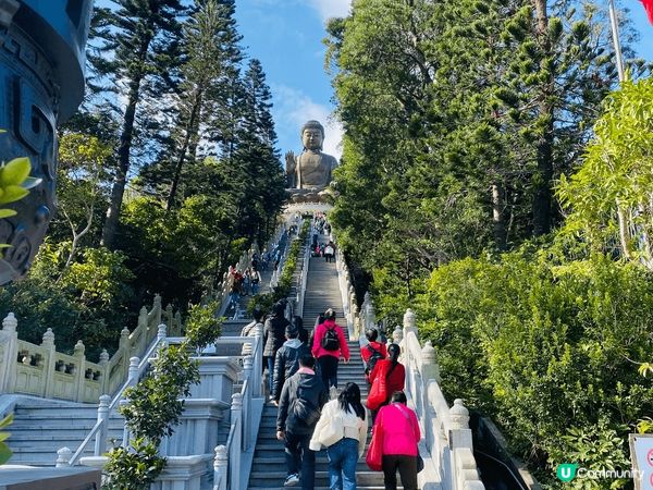 每年新年一定會去大佛行過大運！今年撞正生日正日，仲可以免費乘...
