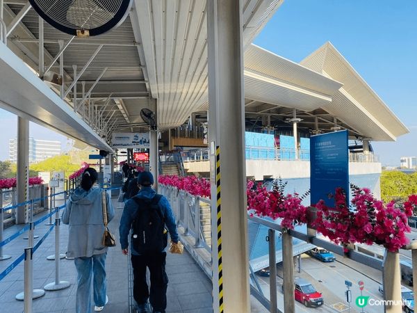 每年新年一定會去大佛行過大運！今年撞正生日正日，仲可以免費乘...