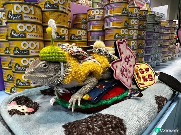 2025去左寵物展🥰有收穫