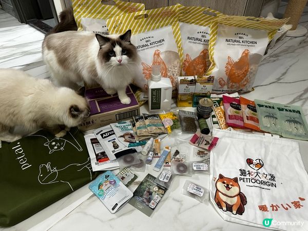 2025去左寵物展🥰有收穫