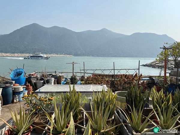 剛剛過去的星期六，與朋友一起到大澳郊遊，當日天朗氣清，又唔太...