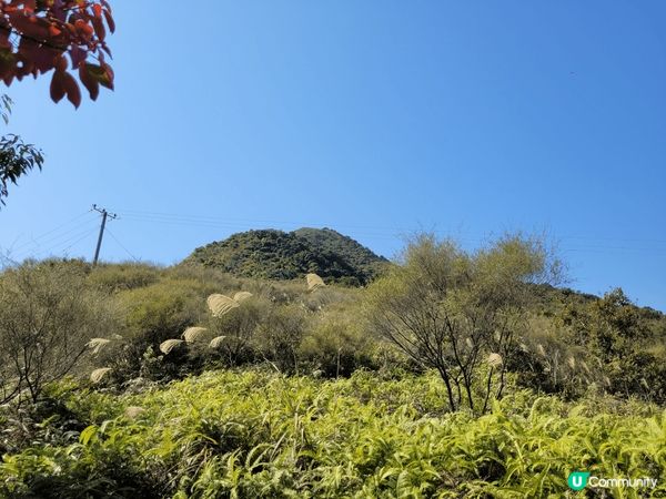 假日好去處，烏蛟騰至荔枝窩，天氣好，風景更好，一班朋友行山，...