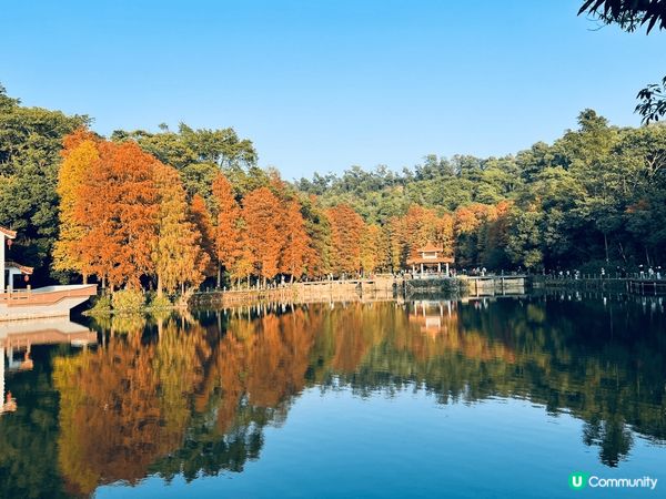 第一張是在元創方拍攝，活化的舊建築帶有韻味，回答咖啡舖十分有...