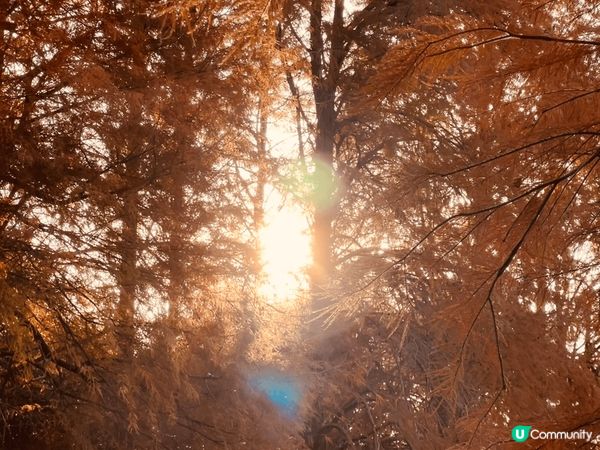 第一張是在元創方拍攝，活化的舊建築帶有韻味，回答咖啡舖十分有...