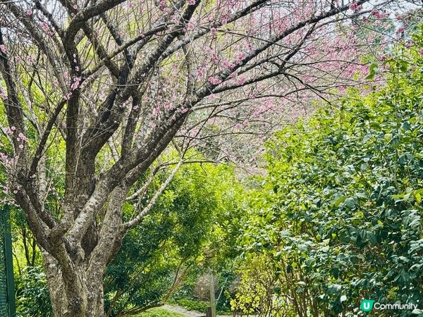 初三活動是川龍越野賽，