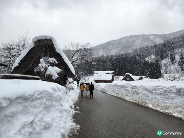 位於日本岐阜世界遺產白川鄉合掌村，實在係一生人要黎一次！冬天...