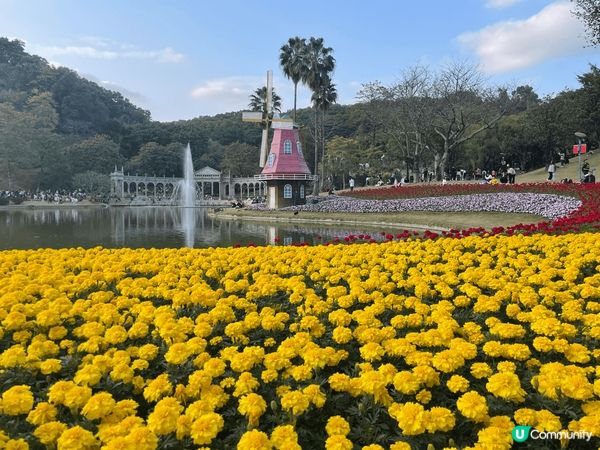 春節期間到訪廣州，廣州的雲台公園在春節期間正好有花市活動，2...