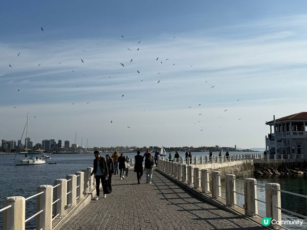 伊斯坦布爾亞洲區之旅 🛥️文青小區一天遊🇹🇷