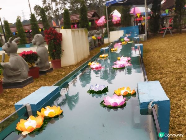 如各位社友的生日是適逢農曆新年期間,其中一個好去處自就是去林...