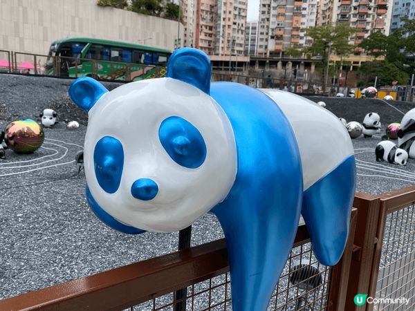觀塘 裕民坊 熊貓大軍