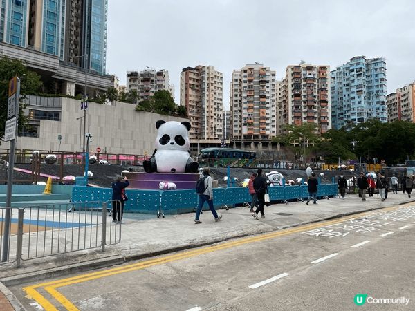 觀塘 裕民坊 熊貓大軍