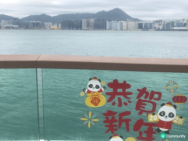 最近新開的北角東岸板道，成功吸引了不少人前往！板道設置了多個...