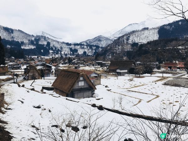 日本的白川鄉令人難忘，冬日看到蓋滿雪的屋頂及鄉村料理，推薦！...
