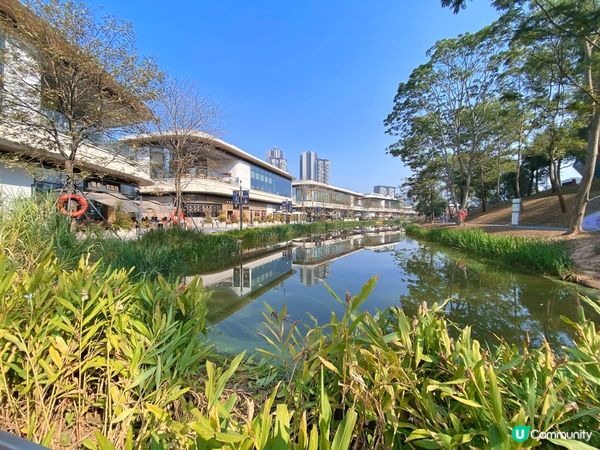 戶外商場好去處🌳☀️ ～寵物用品店🐱🐶